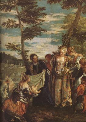Paolo  Veronese The Finding of Moses (mk08) France oil painting art